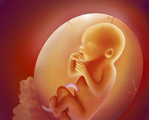 ​2023年国内正规试管卵子捐献生子费用明细 国内第三代供卵生子试管医院推荐